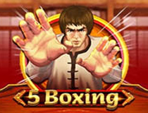 5 Boxing